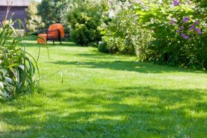 travaux jardin et paysage Prailles